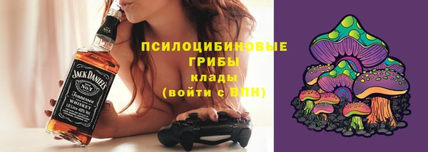 МДПВ Нея