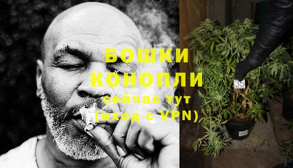 МДПВ Нея