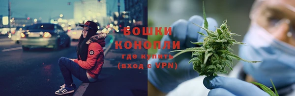 МДПВ Нея