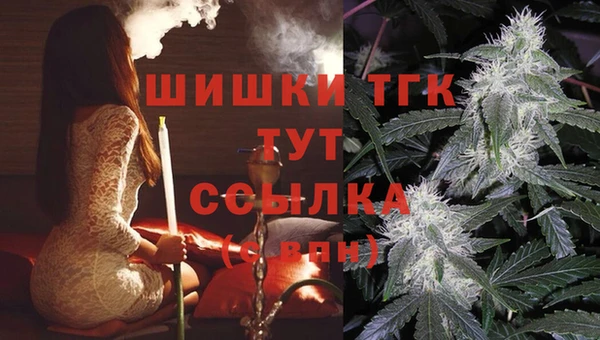 МДПВ Нея