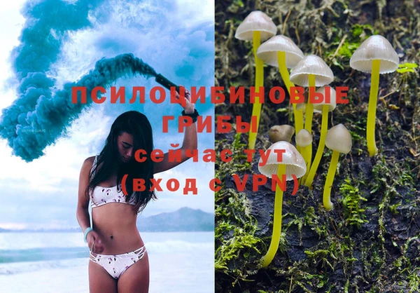 синтетический гашиш Новозыбков