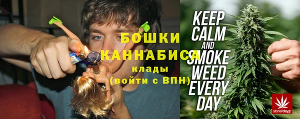 МДПВ Нея