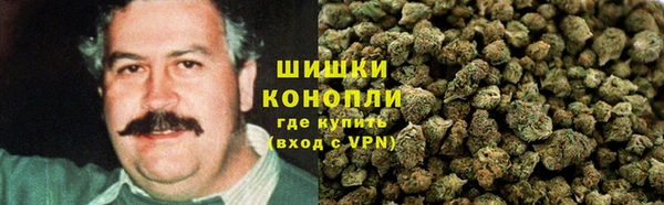 МДПВ Нея