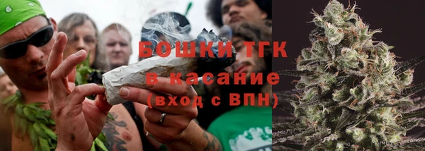 МДПВ Нея